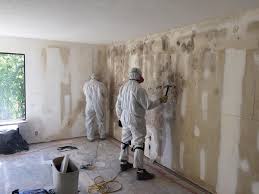 Best Basement Mold Removal  in Monroe, OH